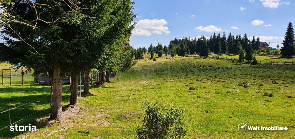 Teren intravilan 10.814 mp cu PUZ aprobat – Belis