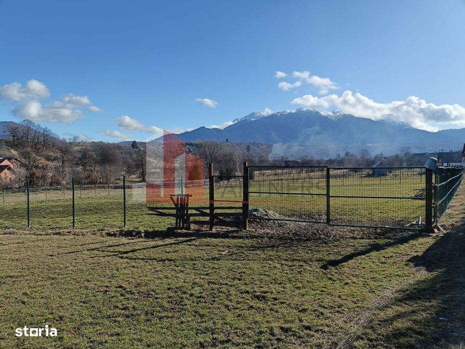 Teren intravilan 1.495 mp | Bran- Tohanu Nou | Vedere Bucegi | Deschid