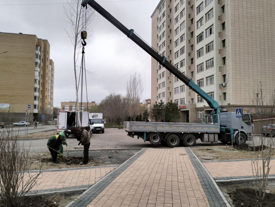 Услуги манипулятора