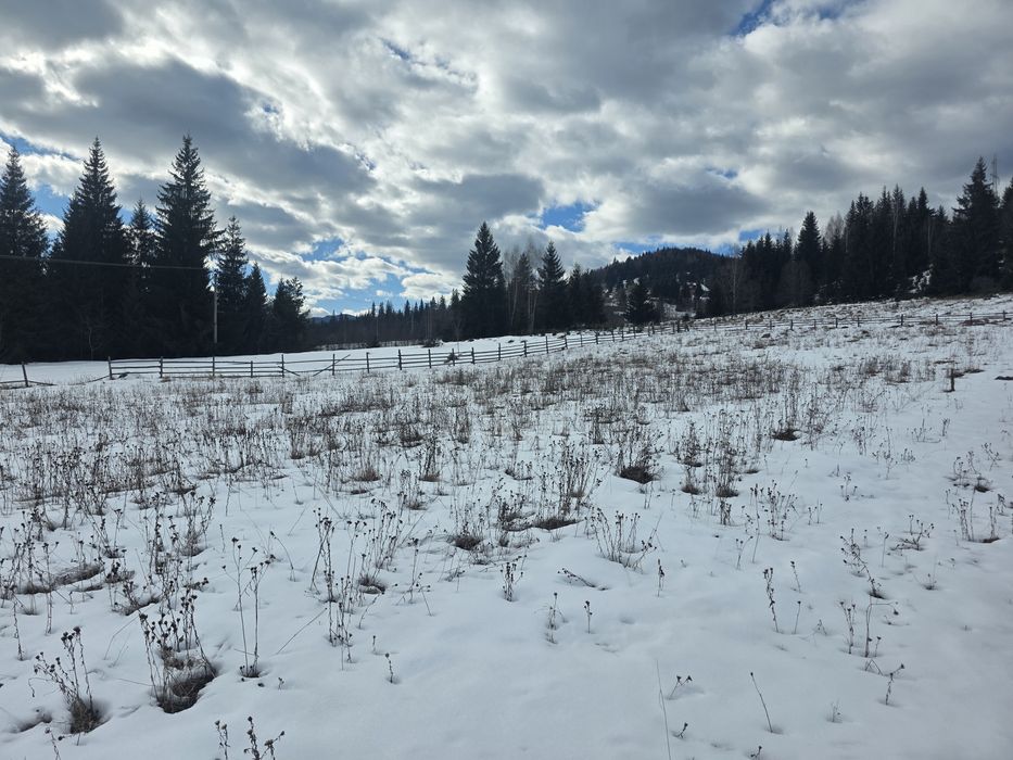 Teren intravilan 1,5 ha (15.000 mp) langa Parcul Calimani. 8,5€/mp