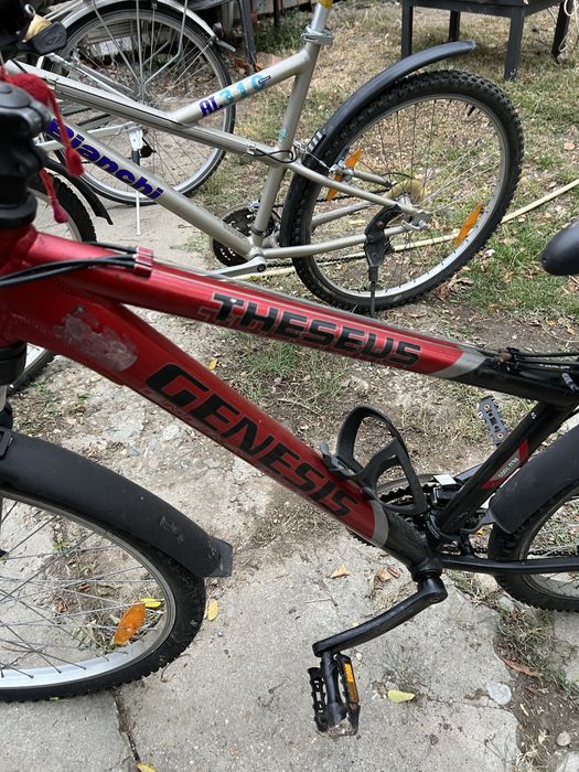 Vand bicicleta !
