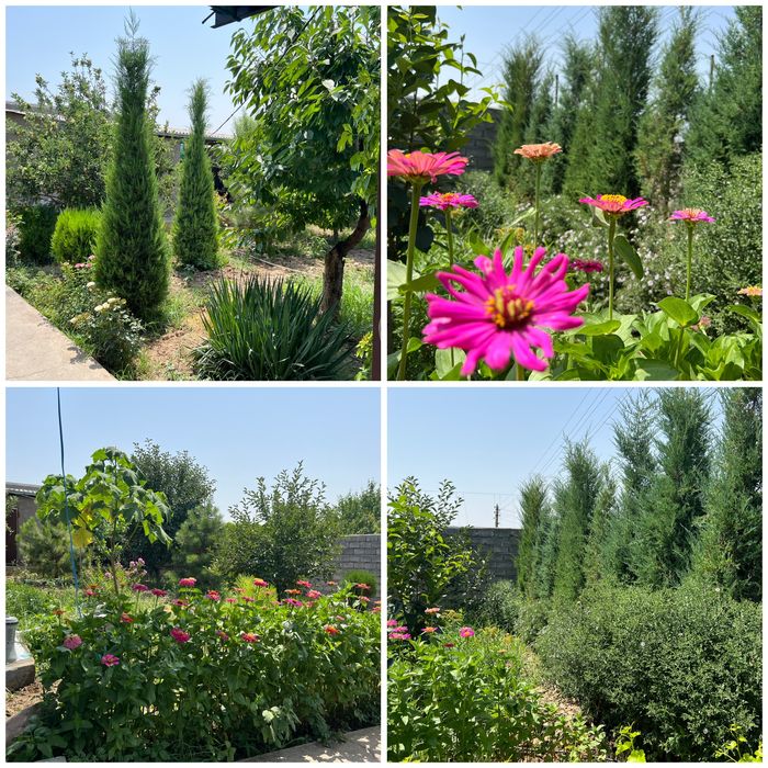 Продаётся своя дача!