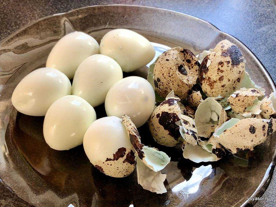 Яйца Перепелиные Пищевые / Istemol uchun Bedana Tuxumi Доставка ОПТОМ