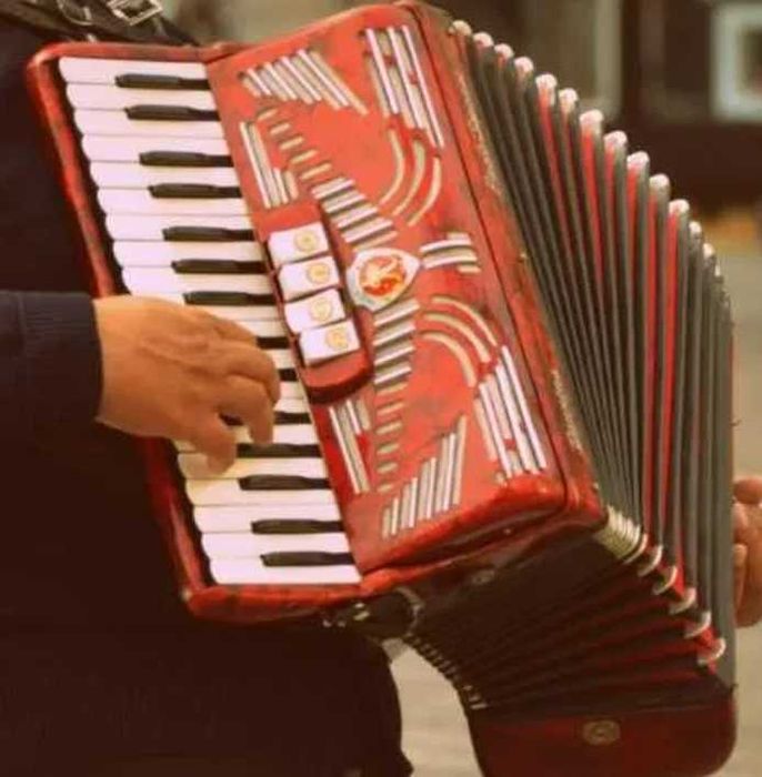 Acordeonist Lautar Nunta Petrecere Zona Tecuci Galati Vrancea