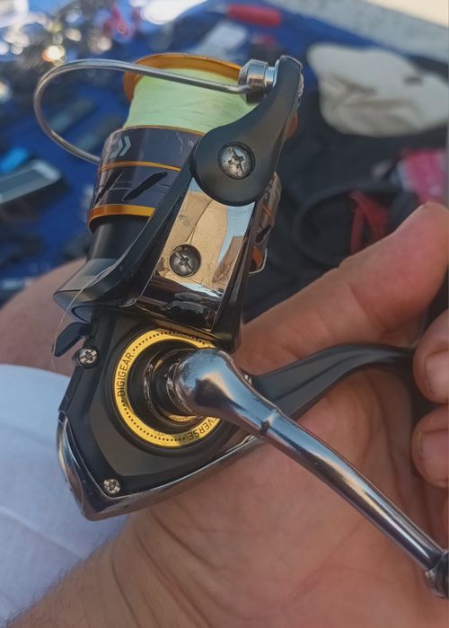 Mulineta Daiwa noua