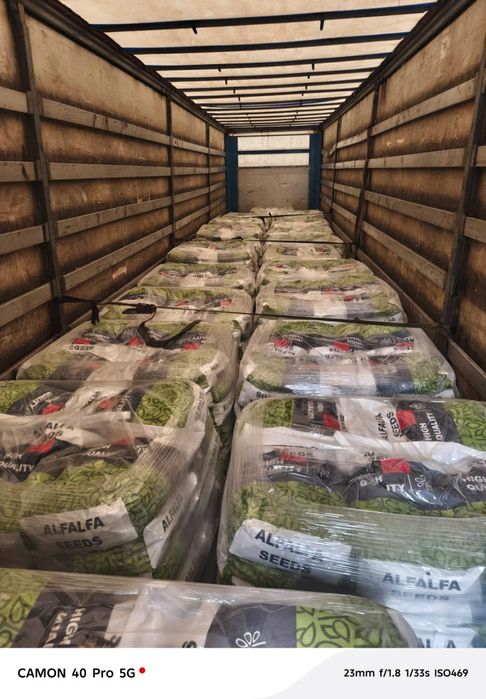 Люцерна семе. Семена Люцерна