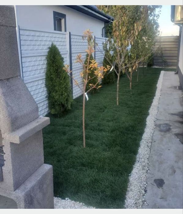 Gazon Rulou- Inalta calitate