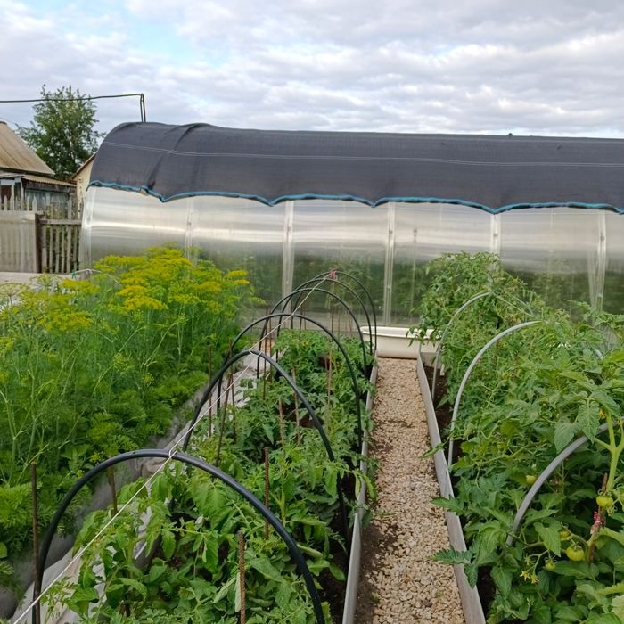 Отличная дача с банькой!