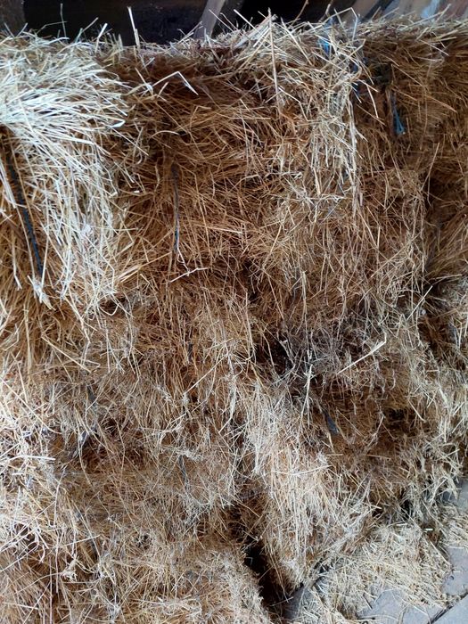 Vând baloti de iarbă.