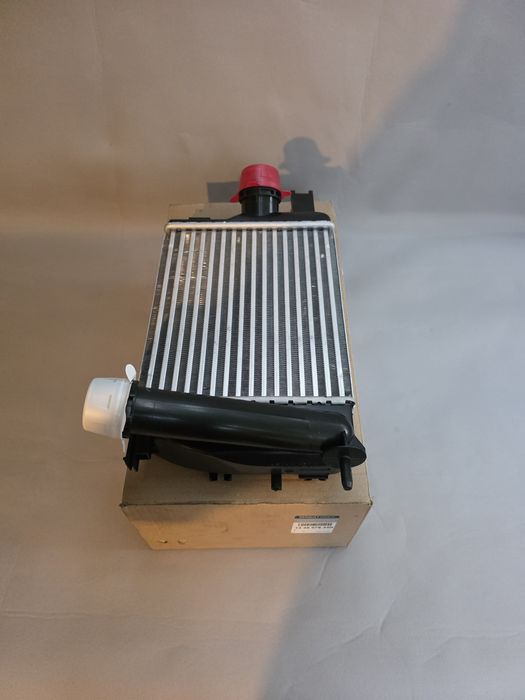 Intercooler Renault/Dacia 1.5 DCI.