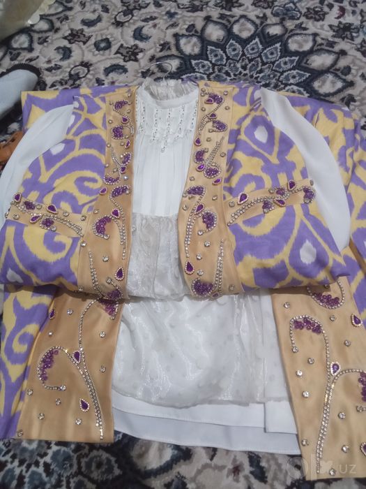 Ayollar koʻylagi