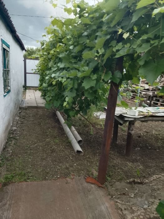 Продам дачу срочно&&