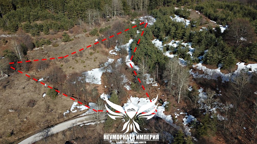 Продавам земя 5000 кв. в село Врата, местност Чуката общ.Асеновград