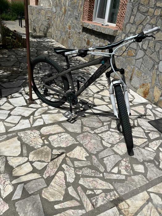 Cross Dexter 26"