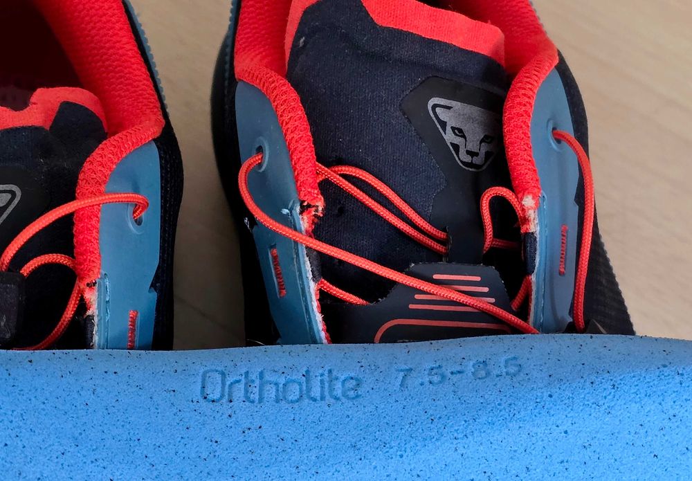 Dynafit Traverse Gtx 42