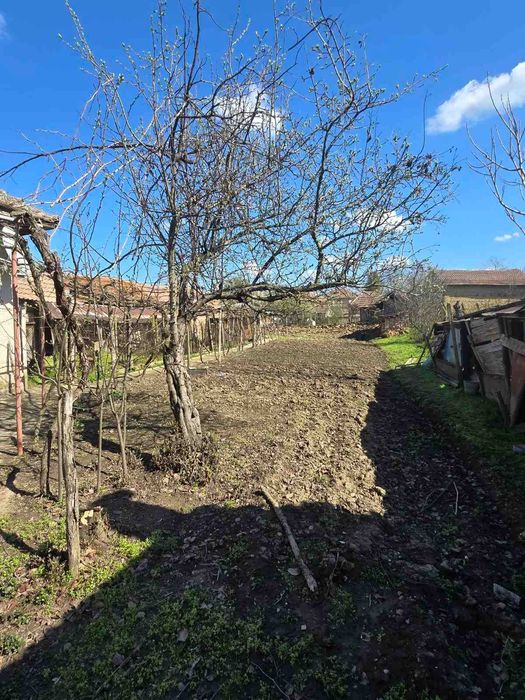 Продава се имот в с. Староселци, обл. Плевен 1 декар двор, две къщи, лятна кухня и селскостопански постройки