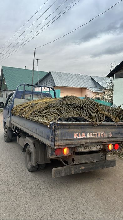Пергной и чернозем