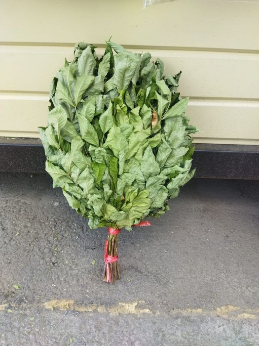 Веники банные, от 1500тг