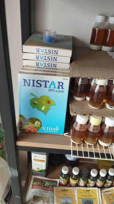 Agro dorilar gul daraxt ko'chat urug'lar