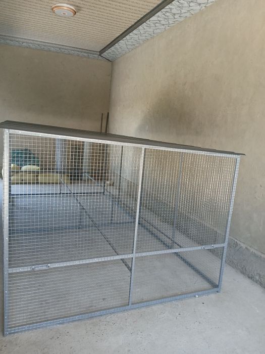 Tovuq katak zakazga