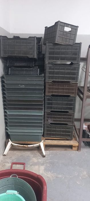 Пласмассовые ящики пищевые