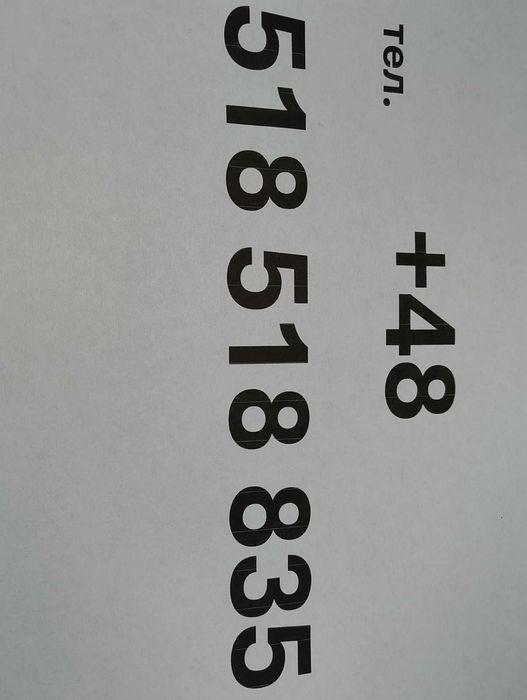 Туя Смарагд, 2 годишен