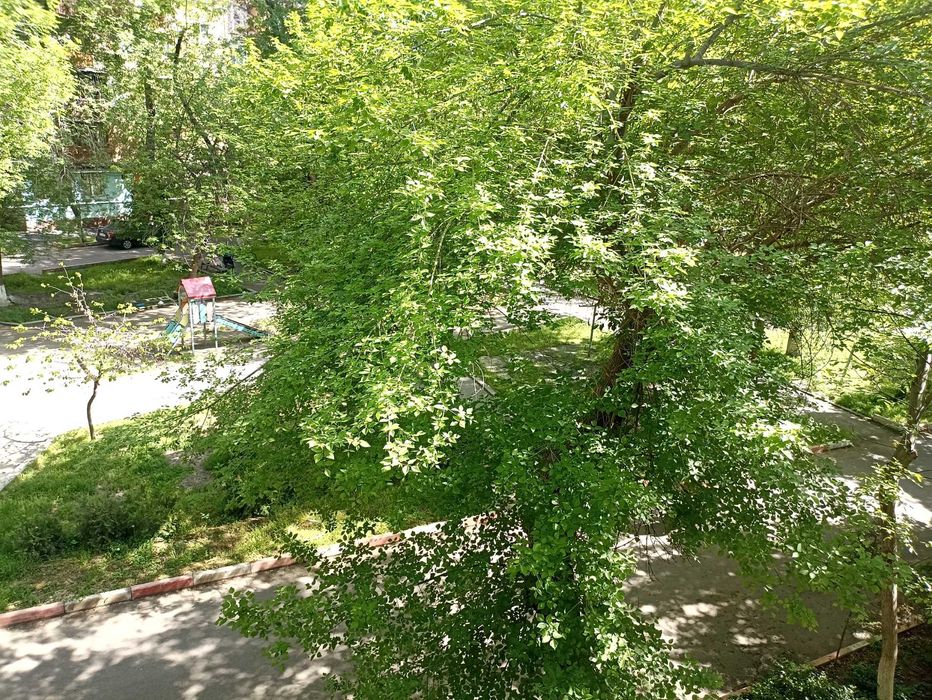 2 в 3/3/5, Дархан, кирпич, 54 метра. СК СТАРТ, Канишка. Евроремонт