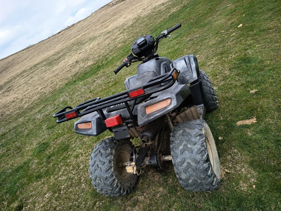 Atv DINLI  100 CM 2T
