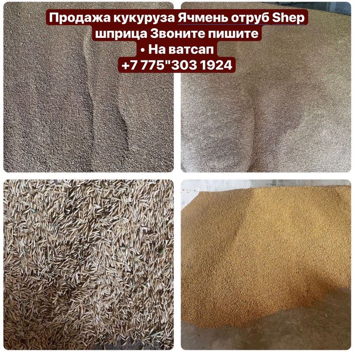 Продам корма для сельхоз животных ячмень отруб кукуруза