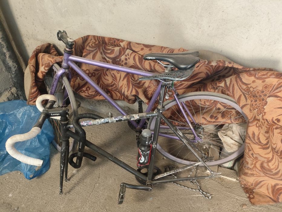 Продам фикс + Хорс