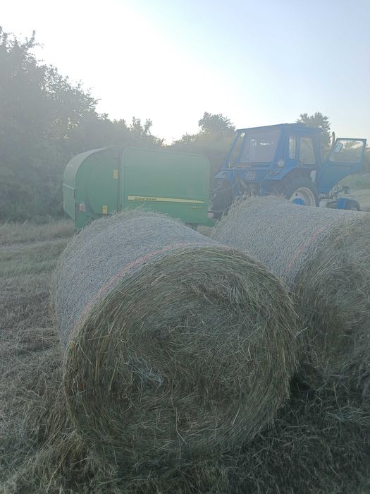 Бали ливадно сено