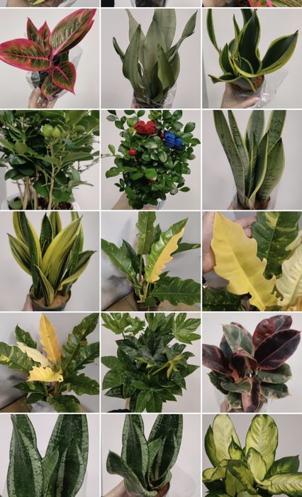 Приглашаю в группу