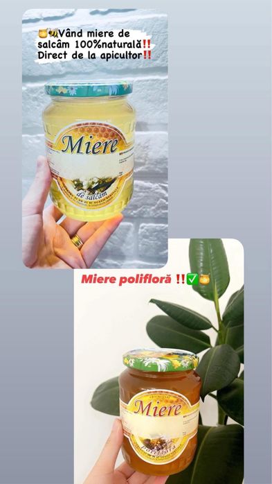 Miere si Polen de albine