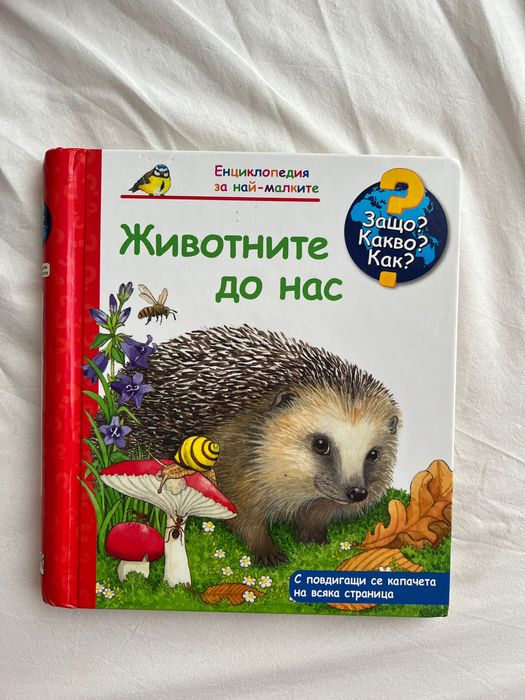 Книги за деца ЗАЩО? КАКВО? КАК?