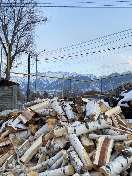 Берёза Дрова Баня