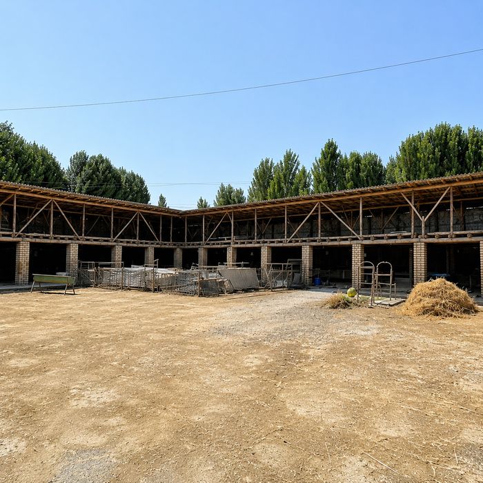 Chorvachilik uchun tayyor ferma