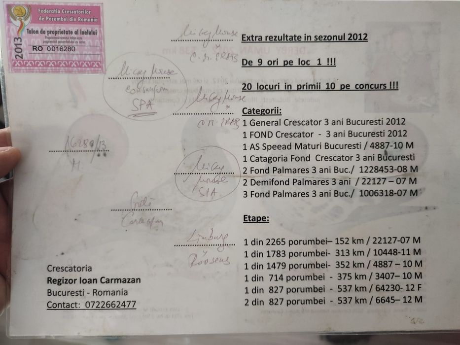 Porumbei voiajori.