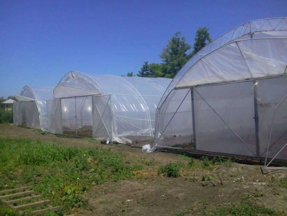 Vând 3 Solarii Profesionale 8x32m–Arcade tip Fermă(Duble)–H- 3.5m