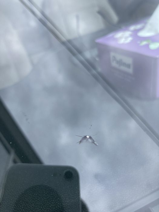 Reparatii parbrize,ciobituri de piatra,fisuri. Aiud Teius Blaj