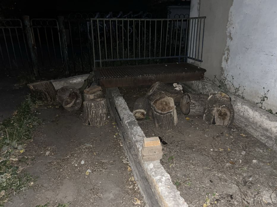 Дрова дровишки пни