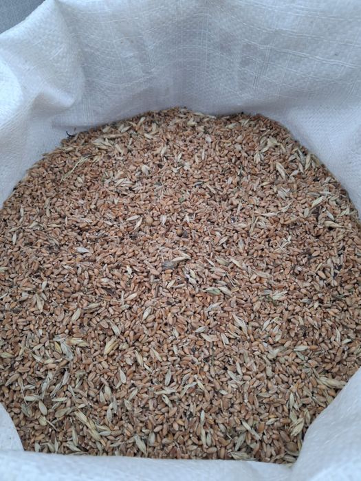 Продам отходы пшеничные