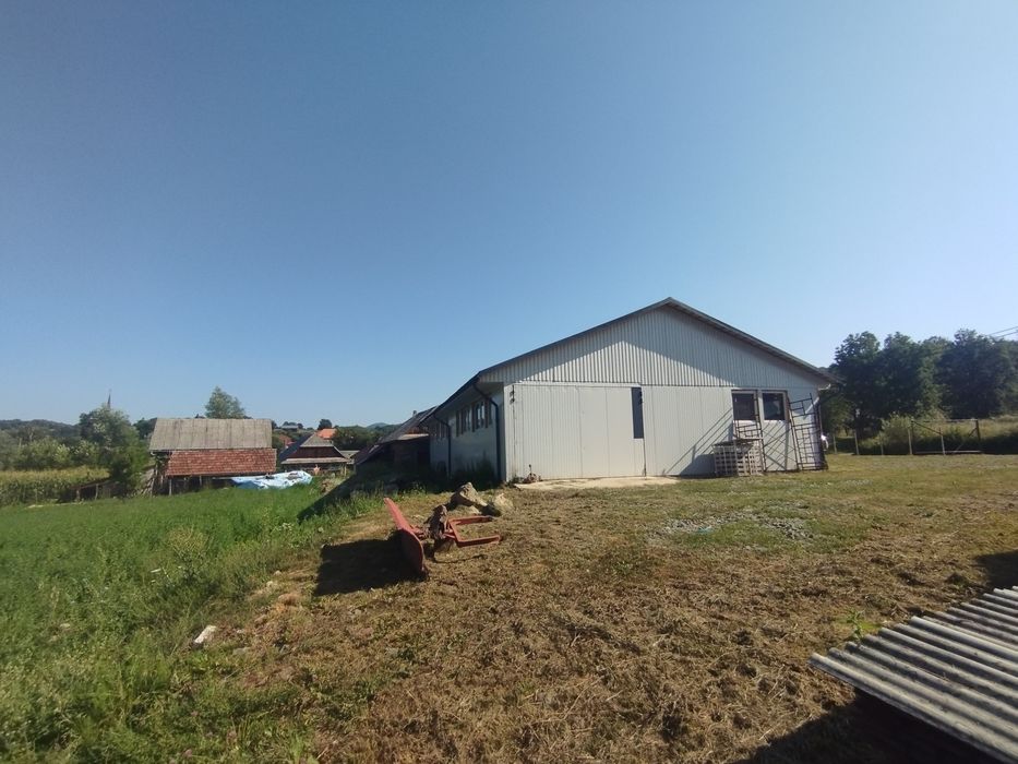 Oportunitate afacere-Hala,casa si atelier tamplarie -Inau-Tg Lapus
