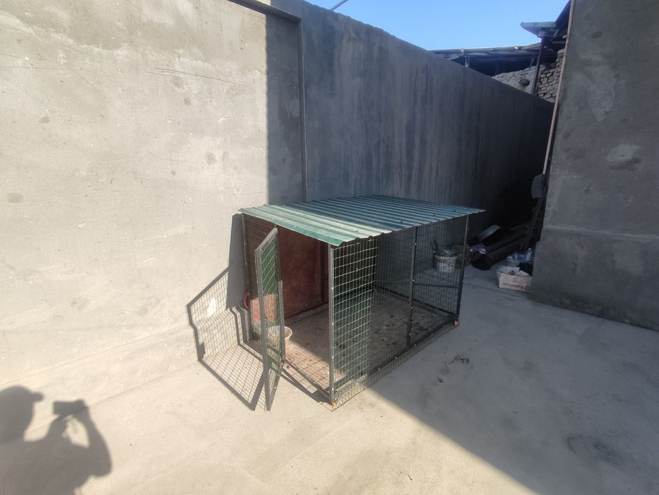 Kafas sotiladi yangi qilingan