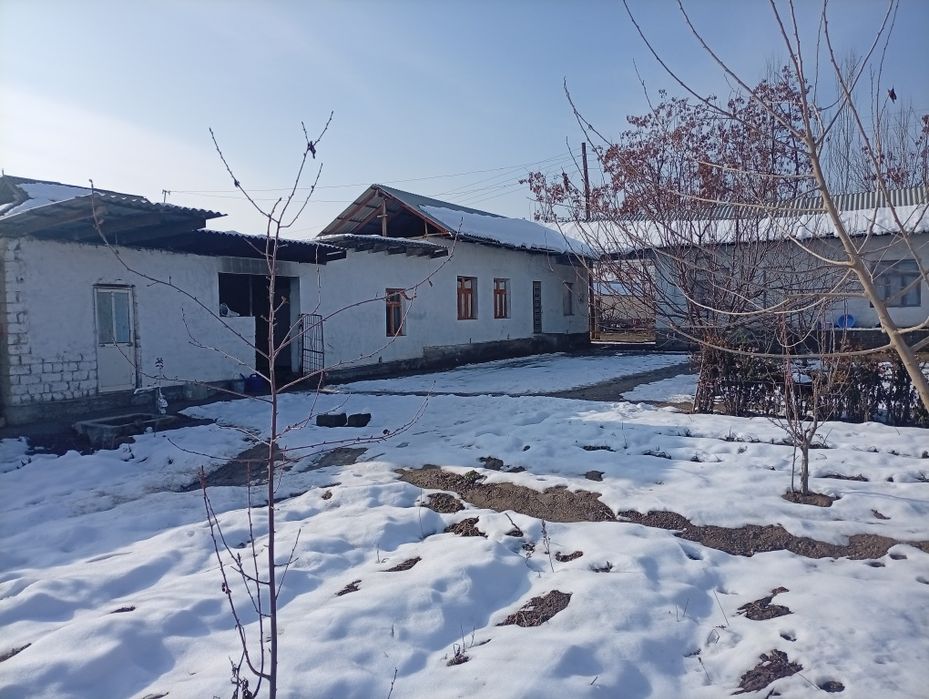 Sirdaryo viloyati uysotiladi