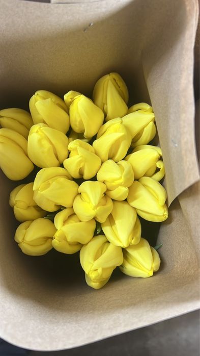 Тюльпаны оптом и в розницу