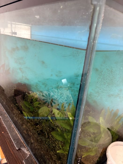 Acvariu 200 (100 x 40 x 62)