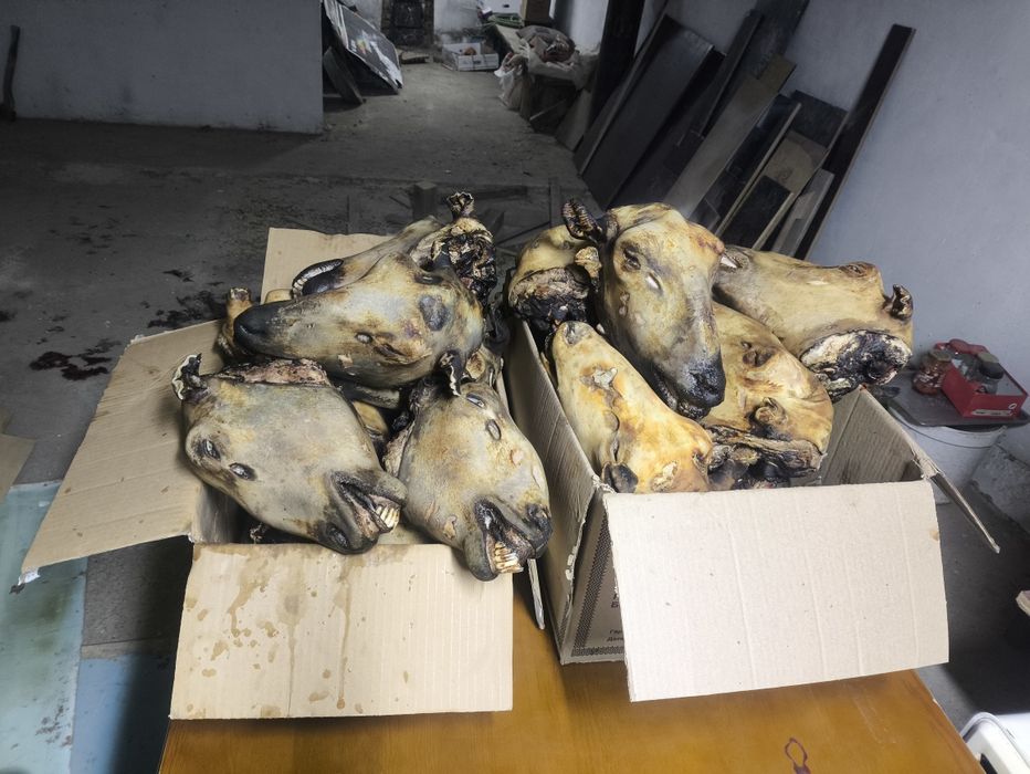 Чищенные бараньи головы