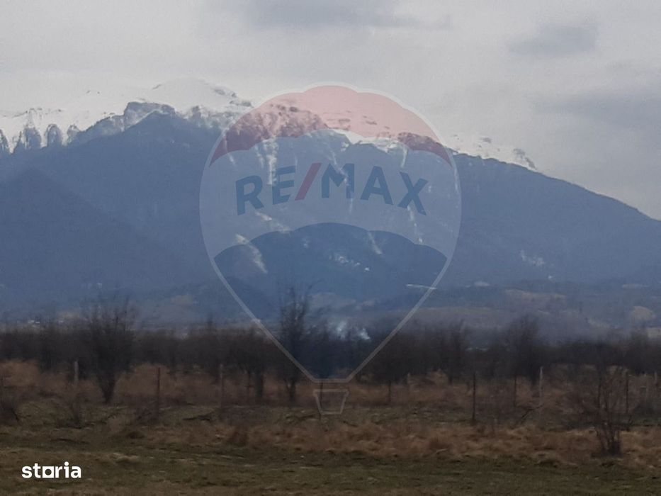 Teren 10,000mp Rasnov / Drumul Panicel
