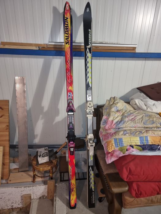 Schiuri salamon si volkl