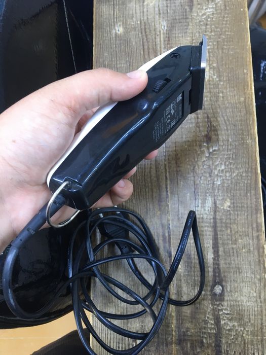 Spermatozoidlarning kokraklarga chayqalishi